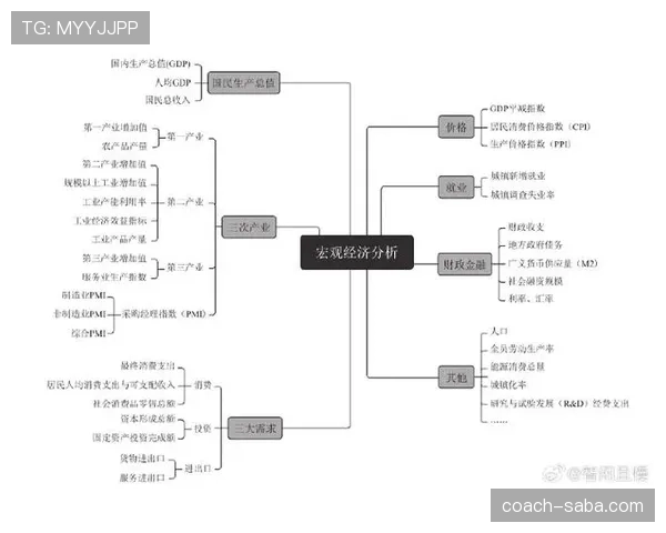 体系驱动下里克尔梅与哈维组织核心角色的分化逻辑